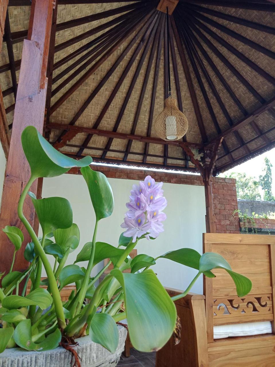 D'Puja Home Stay And Spa นูซาดูอา ภายนอก รูปภาพ
